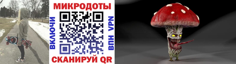 Псилоцибиновые грибы GOLDEN TEACHER  mega ССЫЛКА  Ленинградская 